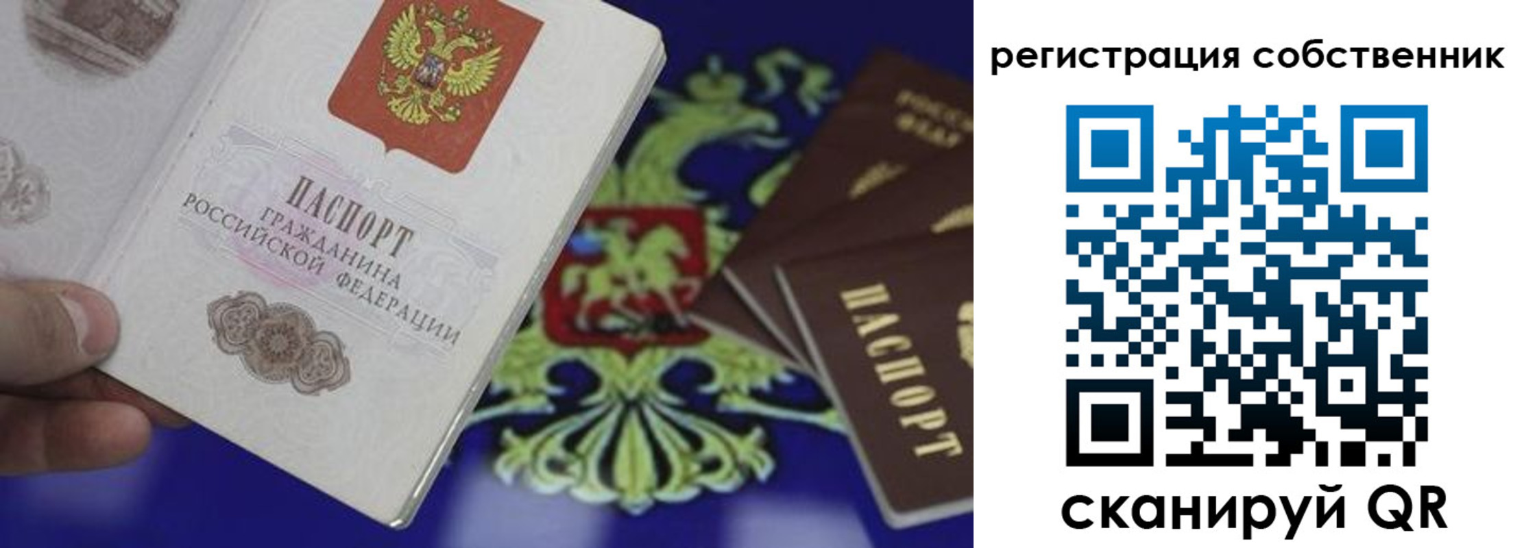 временная регистрация надежно в Павлово